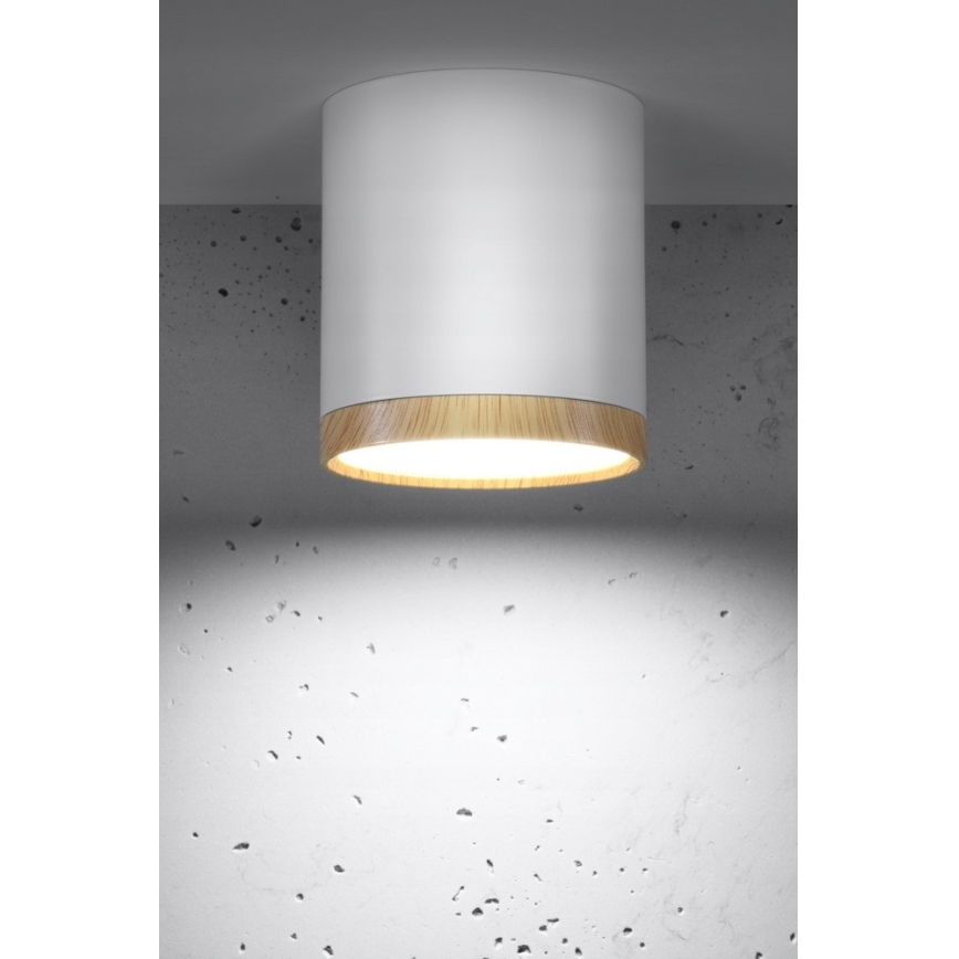 LED Plafondlamp TUBA LED/5W/230V wit/beige