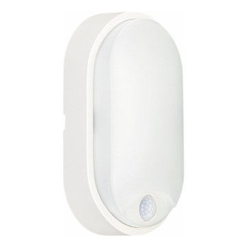 LED Plafondlamp voor buiten met sensor LED/14W/230V IP54 wit