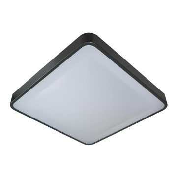 LED Plafondlamp WILTON LED/24W/230V antraciet