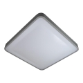 LED Plafondlamp WILTON LED/24W/230V grijs