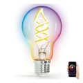 LED RGBW Ampoule FILAMENT A60 E27/4,9W/230V 2700K - Aigostar