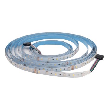 LED RGBW Strip DAISY 5m daglicht wit