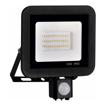 LED Schijnwerper met sensor LED/30W/230V IP65