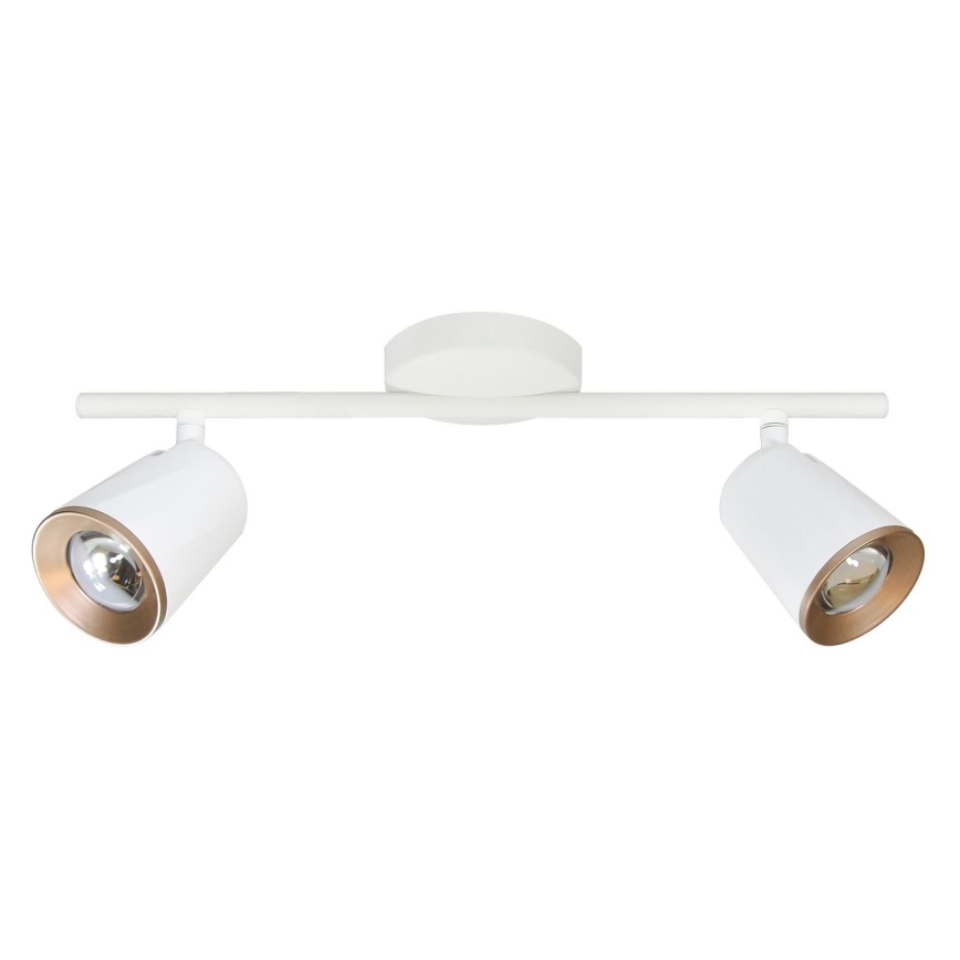 LED Spot FICUDI 2xLED/6W/230V