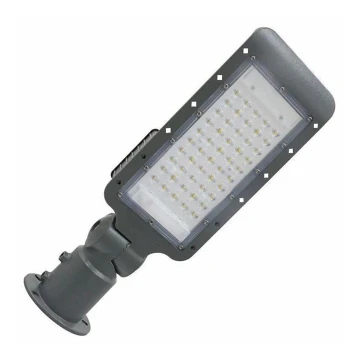 LED Straat Lamp LED/50W/170-400V IP65