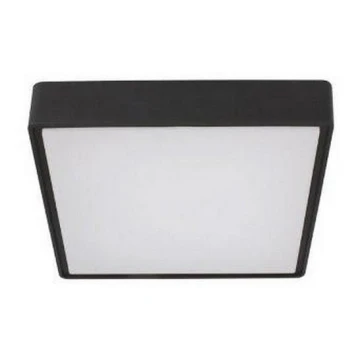 LED2 - LED Luminaire extérieur avec détecteur SOLO LED/16W/230V 3000/4000/6500K IP65