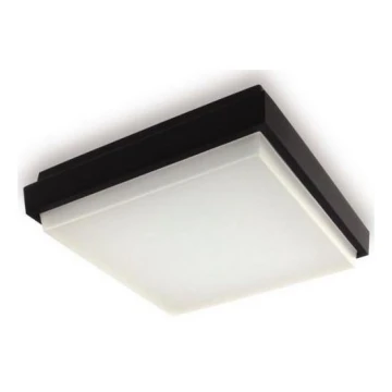 LED2 - Plafonnier LED extérieur QUADO LED/10W/230V anthracite IP54