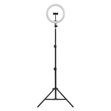 Ledvance - Lampadaire à intensité variable avec un support et support pour le vlogging LED/6W/USB 3000/4000/6500K