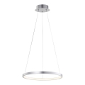 Leuchten Direkt 11522-21 - Suspension LED avec fil CIRCLE LED/19W/230V