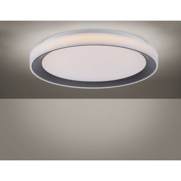 Leuchten Direkt 14659-18 - LED RGB Dimlicht + afstandsbediening LOLA LED/24W/230V Tuya + AB