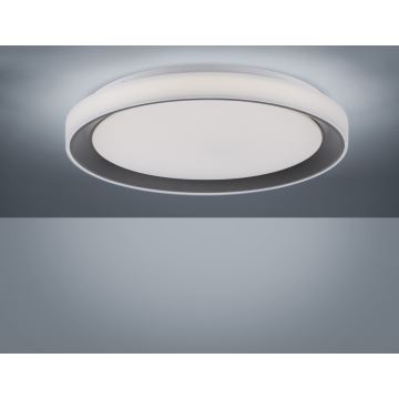 Leuchten Direkt 14659-18 - LED RGB Dimlicht + afstandsbediening LOLA LED/24W/230V Tuya + AB