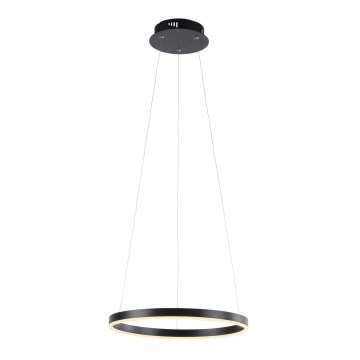 Leuchten Direkt 15393-13- Dimbare LED Hanglamp aan een koord RITUS LED/20W/230V zwart