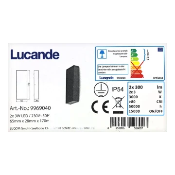 Lucande - Applique murale extérieure CORDA 2xLED/3W/230V IP54