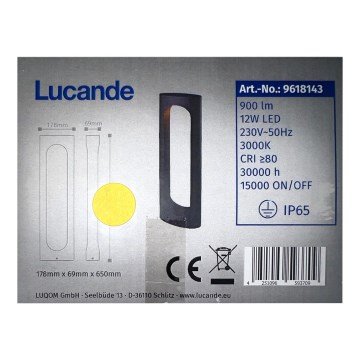Lucande - Lampe d'extérieur FENTI LED/12W/230V IP65
