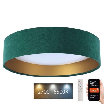 Luminaire à intensité variable SMART GALAXY LED/36W/230V d. 55 cm 2700-6500 K Wi-Fi Tuya vert/doré + Télécommande