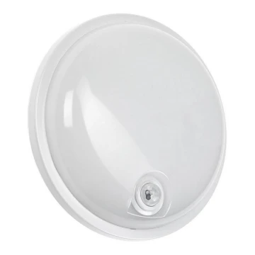 Luminaire industriel avec détecteur infrarouge passif LED/20W/230V IP54