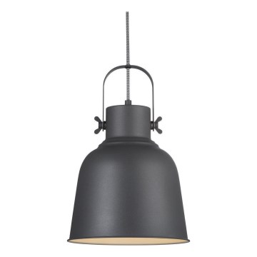 Nordlux - Hanglamp aan een koord ADRIAN 1xE27/40W/230V diameter 25 cm antraciet