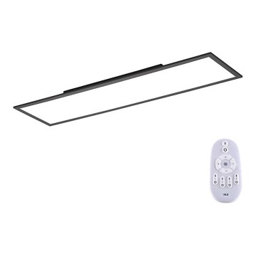 Paul Neuhaus 16533-16-O - Panneau monté en surface FLAT LED/24W/230V 2700-5000K noir + Télécommande