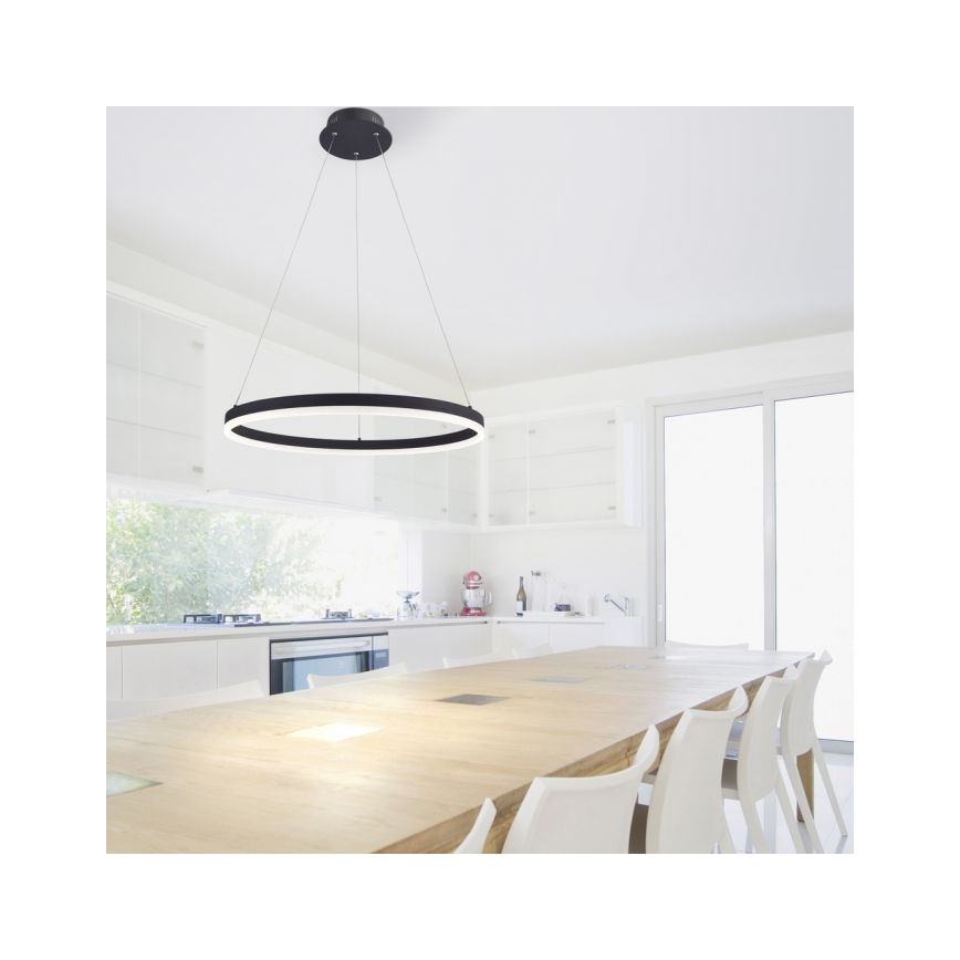 Paul Neuhaus 2382-13 - Dimbare LED Hanglamp aan een koord TITUS LED/38,5W/230V