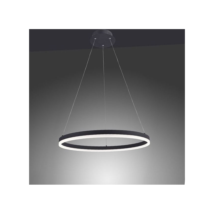 Paul Neuhaus 2382-13 - Dimbare LED Hanglamp aan een koord TITUS LED/38,5W/230V