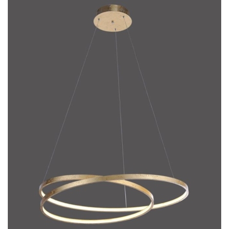 Geliefde Dat Onregelmatigheden Paul Neuhaus 2474-12 - Dimbare LED Hanglamp aan een koord ROMAN  LED/40W/230V goud | Lumimania