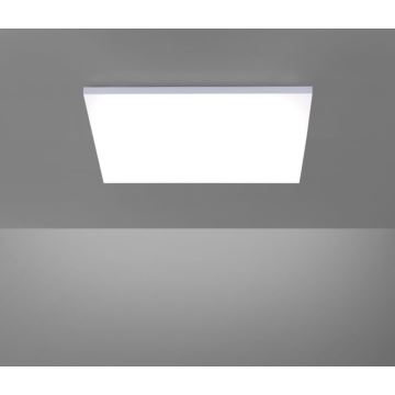 Paul Neuhaus 8492-16 - Dimbaar LED Paneel voor Oppervlak Montage FRAMELESS LED/35W/230V + afstandsbediening