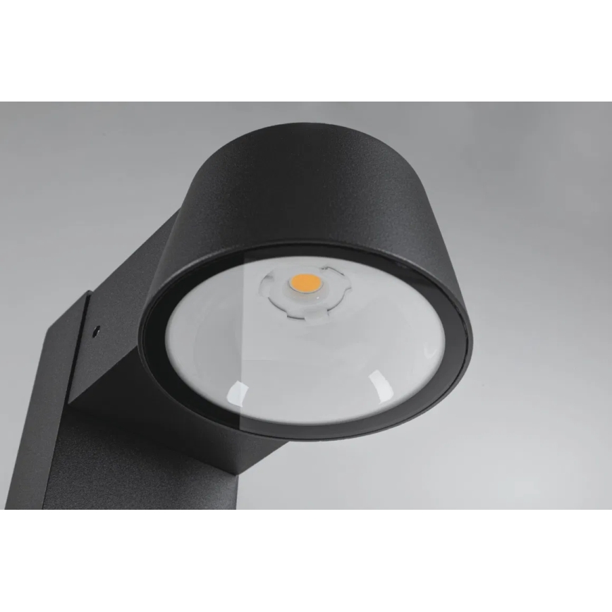 Paulmann 94715 - LED/6W IP44 Lampe d'extérieur CAPERA 230V