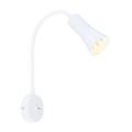 Petite lampe flexible ARENA 1xE14/40W/230V blanc