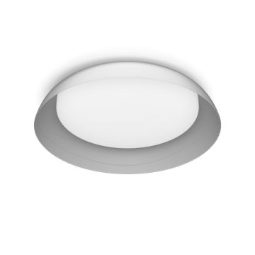 Philips - Dimbare LED plafondlamp FLETA LED/10W/230V 2700K doorzichtig