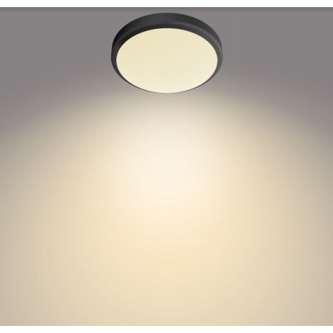 Verminderen Perfect complexiteit Philips - LED Badkamer Plafond Lamp DORIS LED/6W/230V IP44 | Lumimania