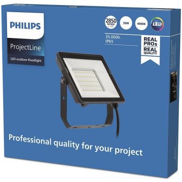 Philips - LED Buitenschijnwerper PROJECTLINE LED/20W/230V IP65 4000K