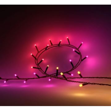 Philips - LED RGBW Dimbaar buitenshuis ketting HUE WHITE AND COLOR AMBIANCE 500xLED 44,4 m 2000-6500K IP54