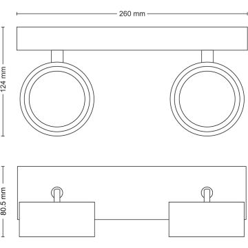 Philips - LED spot 2xLED/5,5W/230V zwart