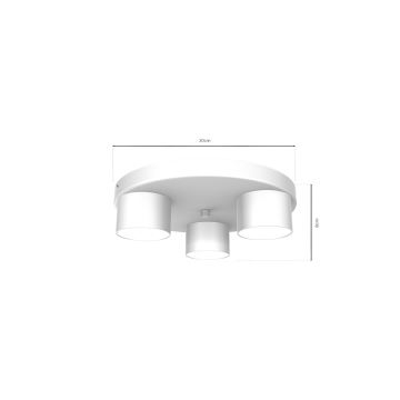 Plafond Lamp DIXIE 3xGX53/11W/230V wit