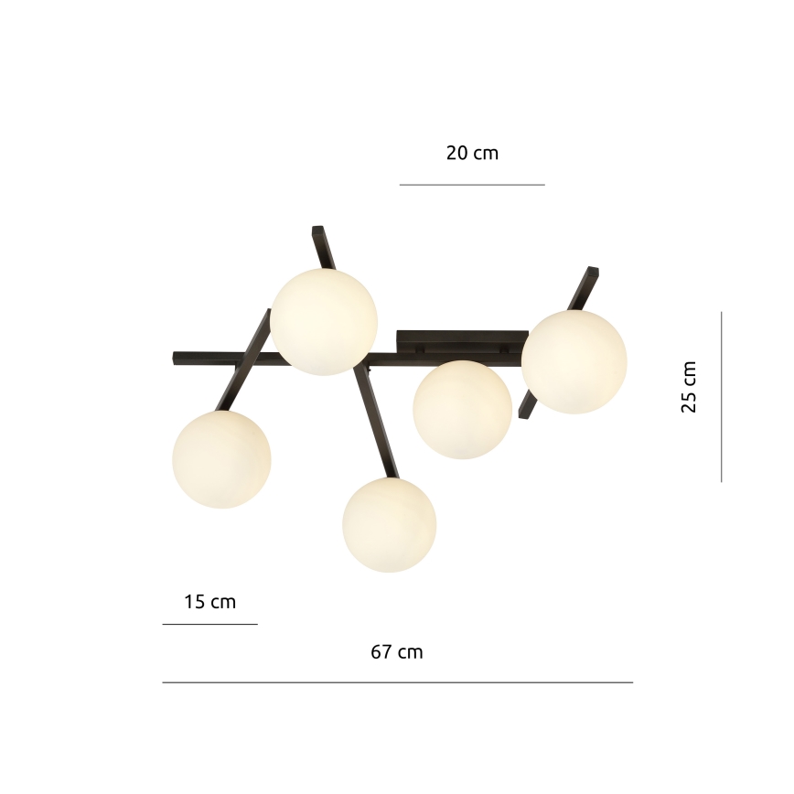 Plafondlamp SMART 5xE14/10W/230V zwart/wit