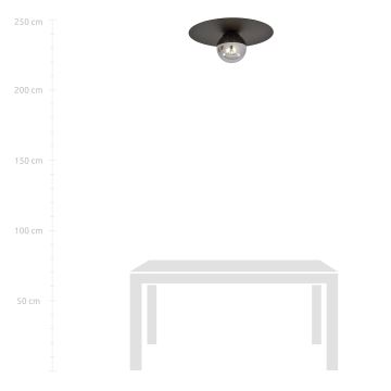 Plafondlamp SOLAR 1xE14/10W/230V zwart/grijs