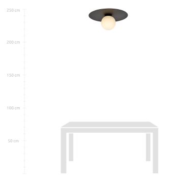 Plafondlamp SOLAR 1xE14/10W/230V zwart/wit