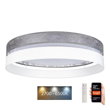 Plafonnier à intensité variable LIMA LED/36W/230V 2700-6500K Wi-Fi Tuya + Télécommande blanc/argenté