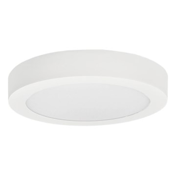 Plafonnier LED FENIX LED/12W/230V 3800K d. 17 cm neige blanc