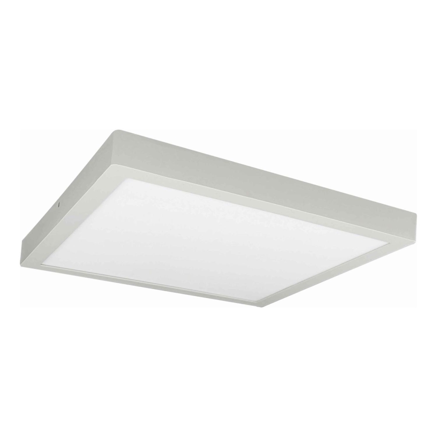 Plafonnier LED FENIX LED/32W/230V 3800K 40 cm blanc