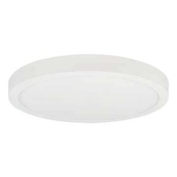 Plafonnier LED FENIX LED/32W/230V 3800K d. 40 cm neige blanc