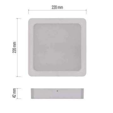 plafonnier LED LED/24W/230V 22x22 cm blanc