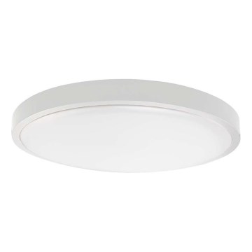 Plafonnier LED salle de bain LED/18W/230V 6500K IP44 blanc