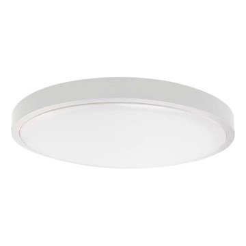 Plafonnier LED salle de bain LED/30W/230V 6500K IP44 blanc