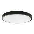 Plafonnier LED salle de bain LED/30W/230V 6500K IP44 noir