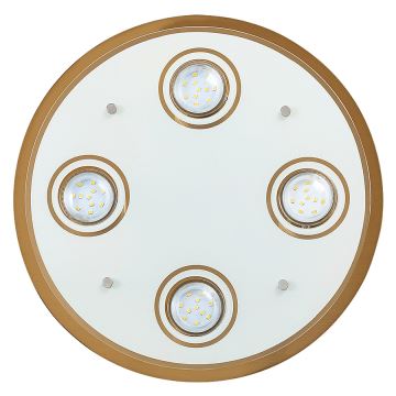 Rabalux - Plafonnier LED 4xGU10/5W/230V