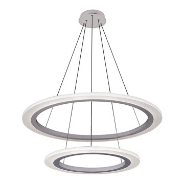 Rabalux 2429 - Lustre LED ADRIENNE LED/62W/230V argent