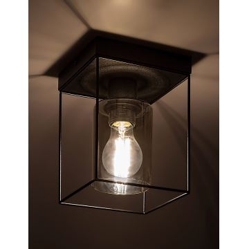 Rabalux - Plafondlamp 1xE27/25W/230V