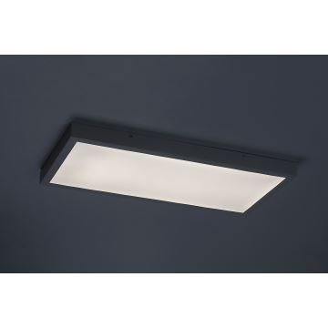 Rabalux - LED Bevestigd lichtpaneel LED/24W/230V 4000K 60x30 cm