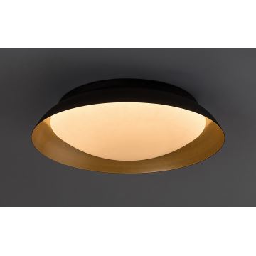 Rabalux - LED Plafondlamp LED/24W/230V 3000K diameter 40 cm